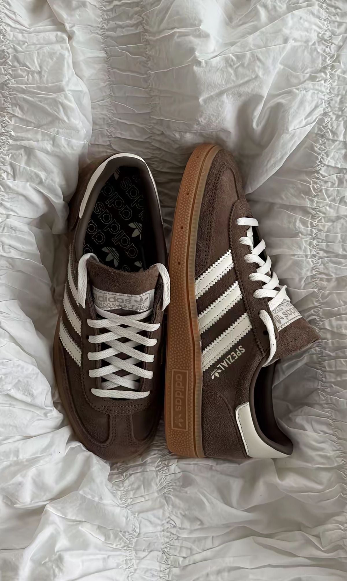 Adidas Spezial Castanho